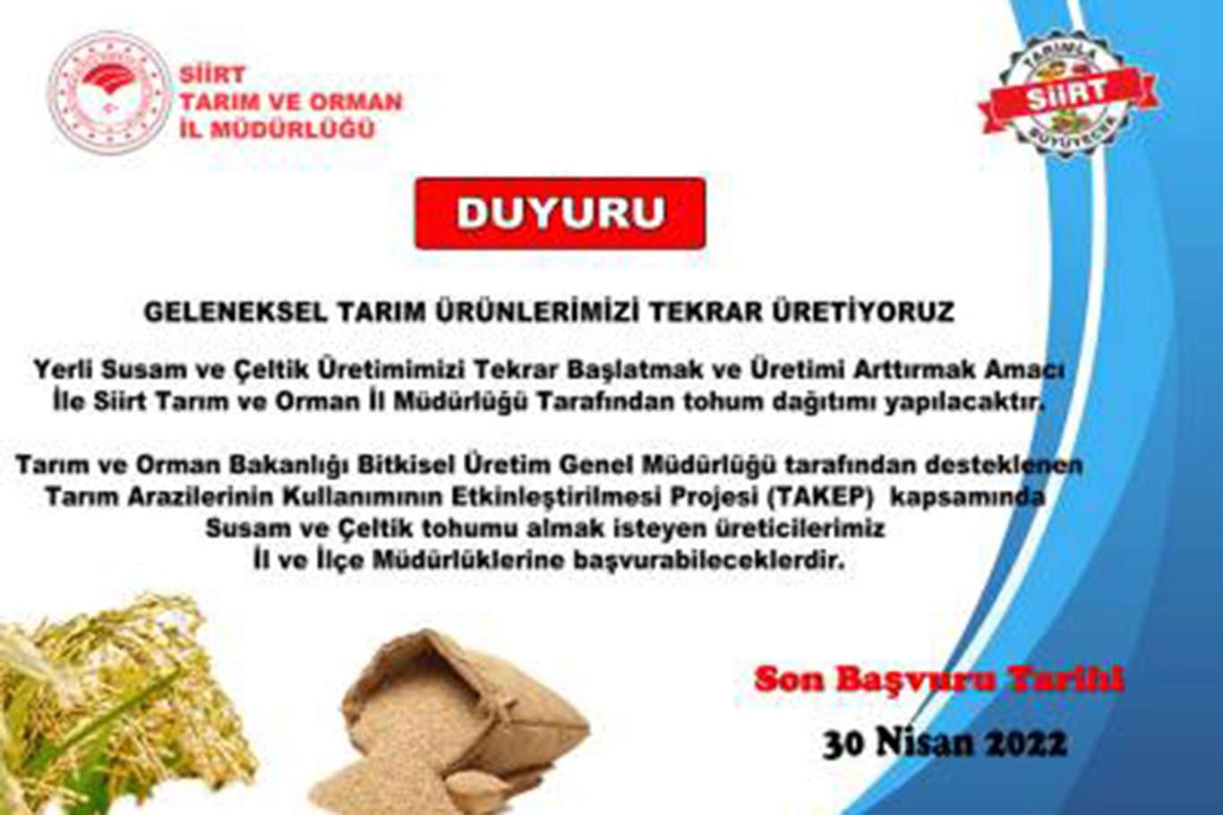 Siirtli üreticilere yerli susam ve çeltik tohumu Siirtli üreticilere yerli susam ve çeltik tohumu